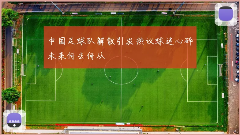 中国足球队解散引发热议球迷心碎未来何去何从