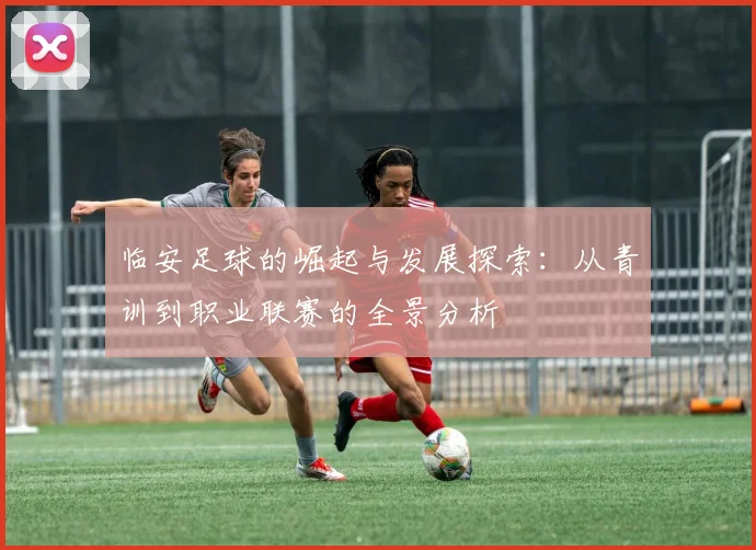 临安足球的崛起与发展探索：从青训到职业联赛的全景分析