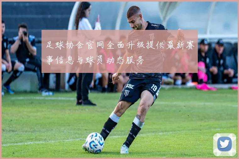 足球协会官网全面升级提供最新赛事信息与球员动态服务