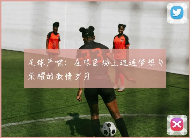 足球严啸：在绿茵场上追逐梦想与荣耀的激情岁月