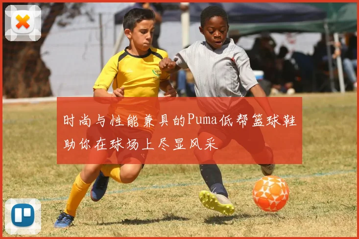 时尚与性能兼具的Puma低帮篮球鞋助你在球场上尽显风采